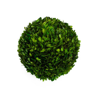 Mills Floral Preserved Boxwood Ball- 12"