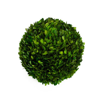 Mills Floral Preserved Boxwood Ball- 12"