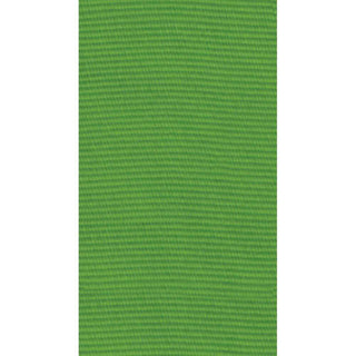 Caspari Grosgrain Lime Green Narrow Ribbon Price Code H-8 Yards Narrow R869