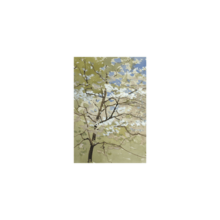 Caspari Sympathy - Set Of Six Greeting Cards And Envelopes SYMPATHY