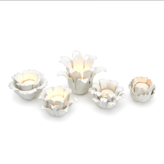 Two's Company White Succulents Tealight Candleholder - Set of 5 Assorted