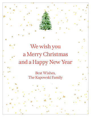 Personalization by Caspari White Christmas Portrait Holiday Photo Cards VWHITEPG