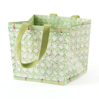 Caspari Trellis Cachepot Small Potted Plant Gift Box - 1 Each 10019BCP3