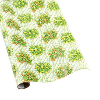 Caspari Citrus Topiaries Gift Wrapping Paper in White - 2 30" x 8' Rolls 10025RCX2