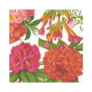 Caspari Jefferson's Garden Study Paper Luncheon Napkins in White - 20 Per Package 15790L