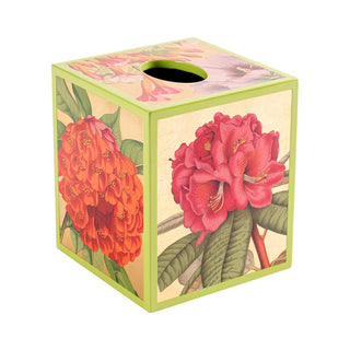 Caspari Jefferson's Garden Study Lacquer Tissue Box Cover in Gold - 1 Each 15791LQTB