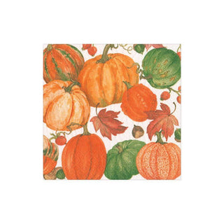 Caspari Pumpkin Field Boxed Paper Cocktail Napkins in White - 40 Per Box 16550B