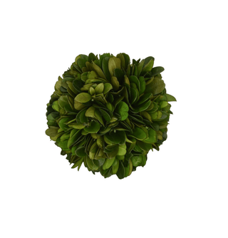 Mills Floral Preserved Boxwood Ball- 4" 27827