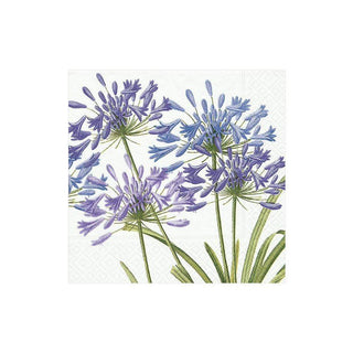 Caspari Agapanthus Paper Cocktail Napkins - 20 Per Package 5370C