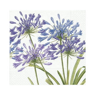 Caspari Agapanthus Paper Luncheon Napkins - 20 Per Package 5370L