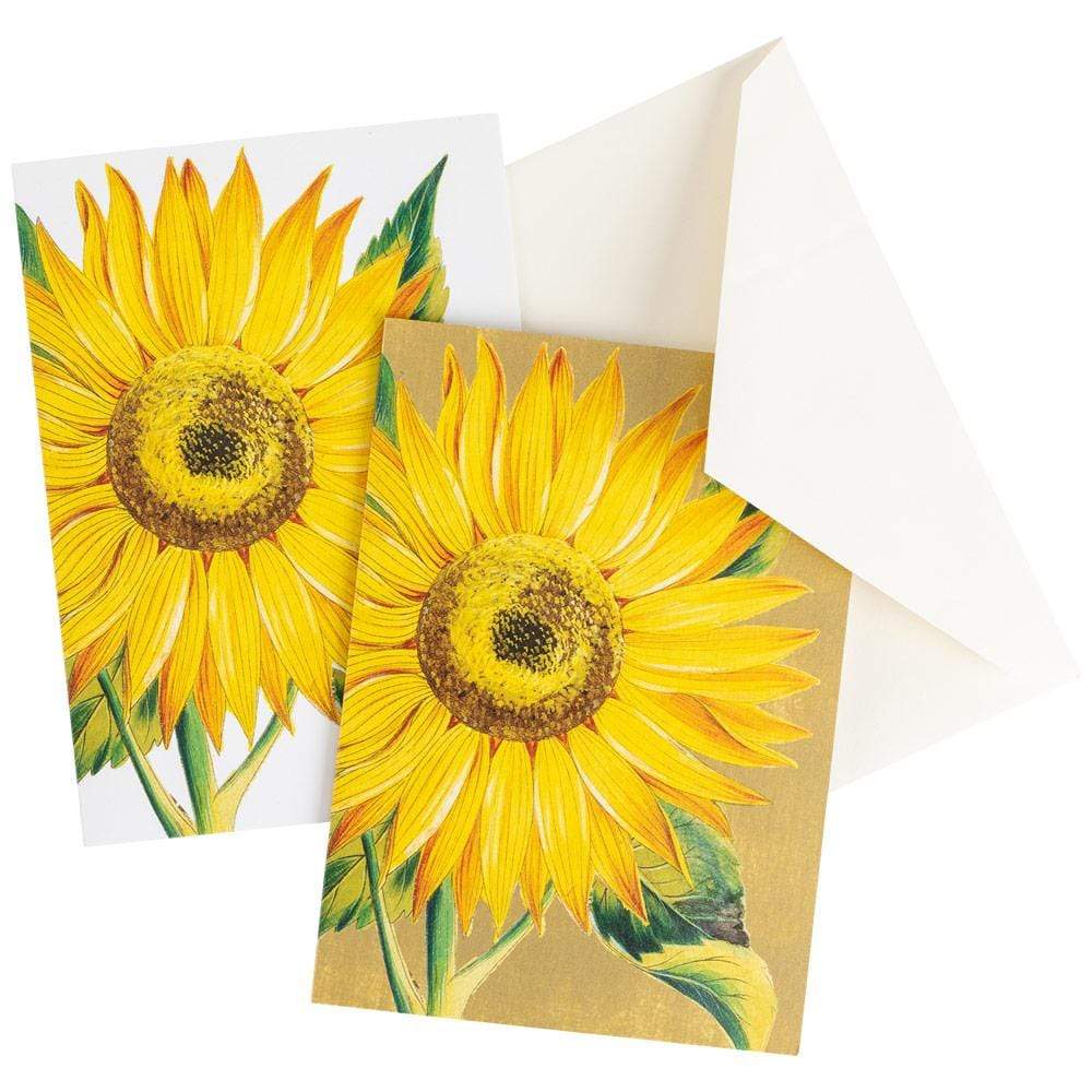 Caspari Sunflower Boxed Note Cards 8 Note Cards & 8