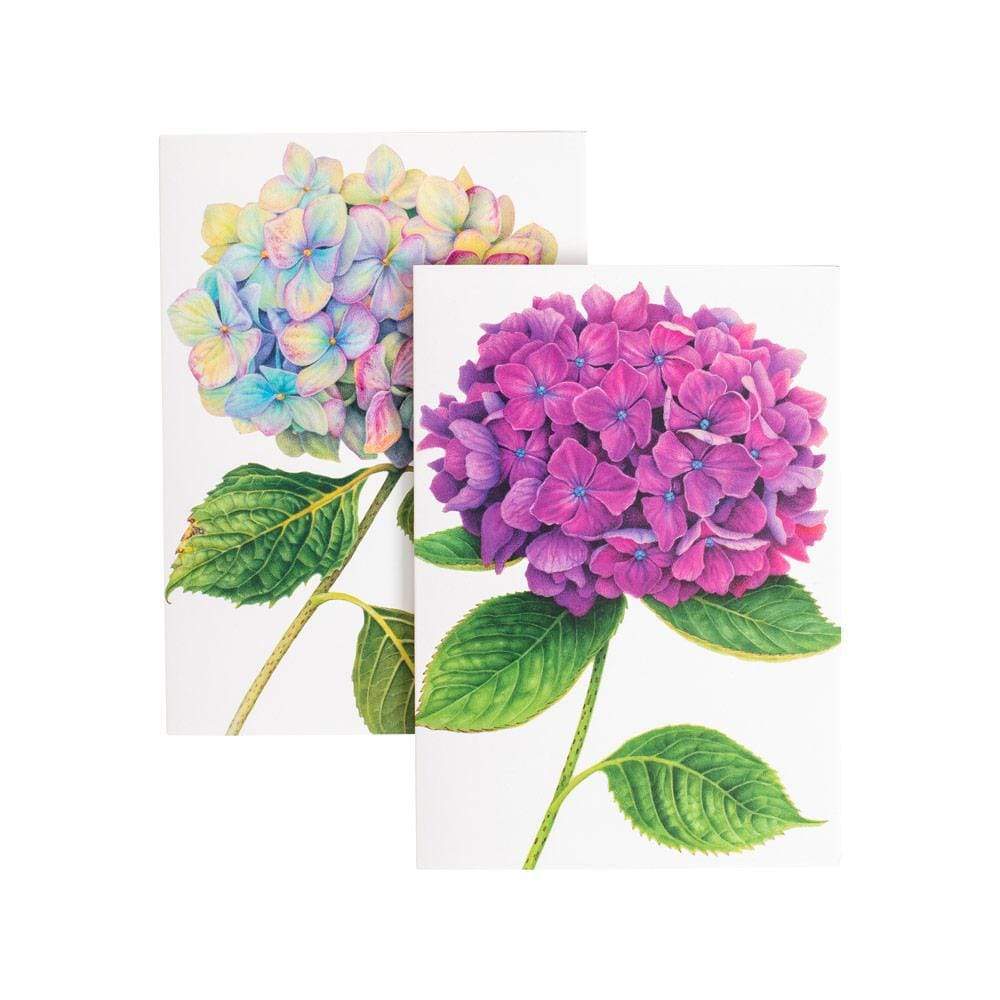 Caspari Hydrangeas Boxed Note Cards 8 Note Cards & 8