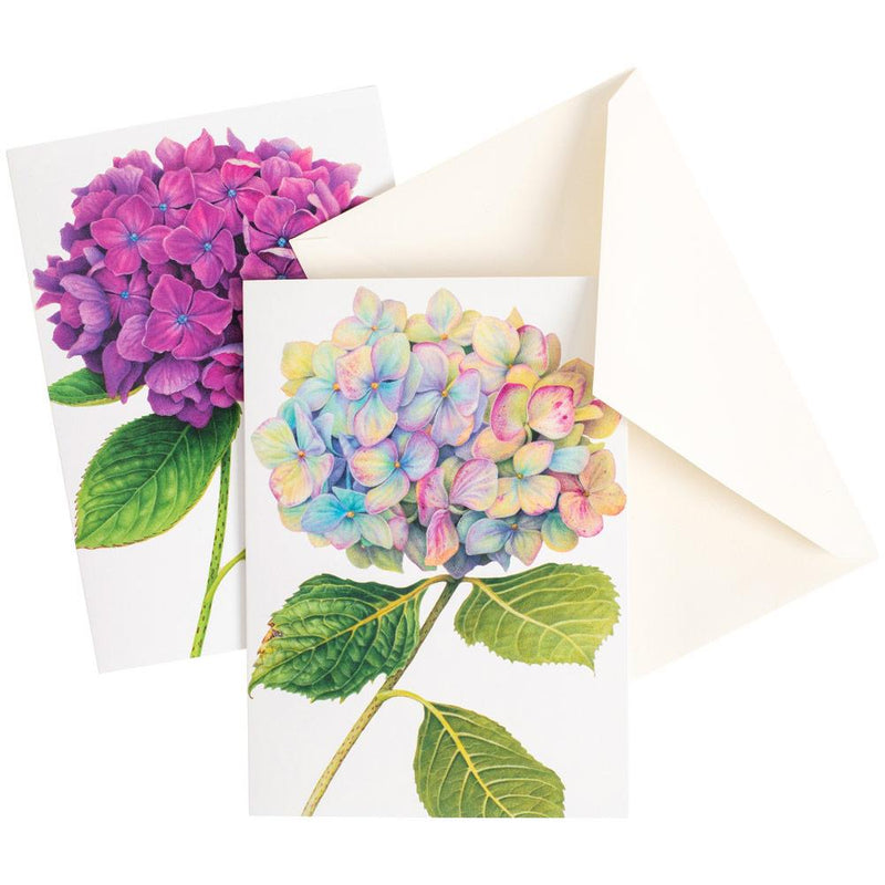 Hydrangeas Boxed Note Cards 8 Note Cards & 8 Envelopes Caspari